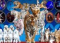 ‘World Circus in Mongolia 2026’ Show to Open Soon in Ulaanbaatar
