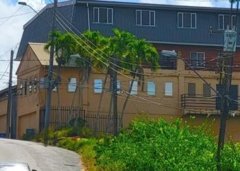 Mother of 2 remains in custody over mansion killing | News Extra