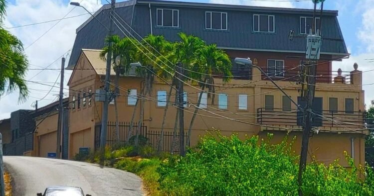 Mother of 2 remains in custody over mansion killing | News Extra