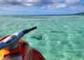 Jet skis not allowed in Buccoo Marine Park, says Farley | News Extra
