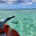 Jet skis not allowed in Buccoo Marine Park, says Farley | News Extra