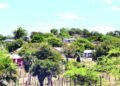 They venture again into Dunas de Baní and build dozens of homes