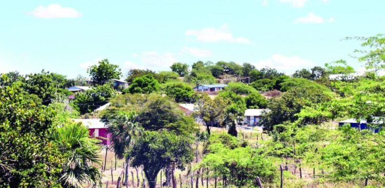 They venture again into Dunas de Baní and build dozens of homes