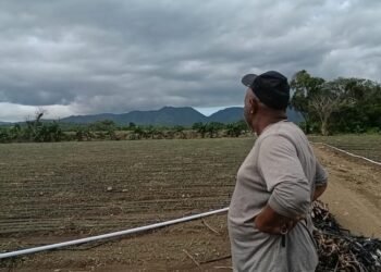 They denounce millionaire losses in agricultural and poultry production in Valverde and Monte Cristi