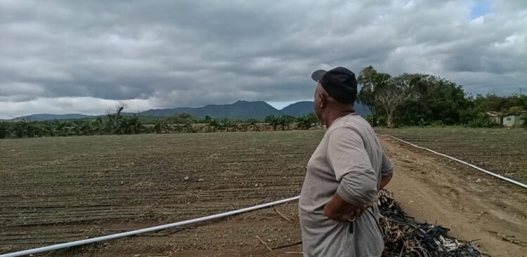 They denounce millionaire losses in agricultural and poultry production in Valverde and Monte Cristi