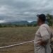 They denounce millionaire losses in agricultural and poultry production in Valverde and Monte Cristi