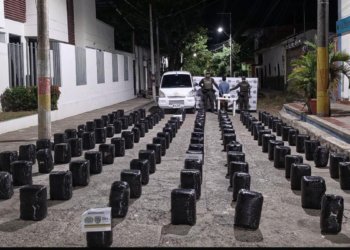 They seize 600 kilos of marijuana in the Huila road corridor and capture a man in flagrante delicto