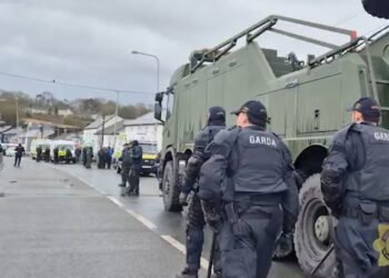 Irish govt takes steps to calm fuel crisis – World