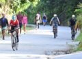 Woman bitten by dogs on Lady Chancellor | Local News