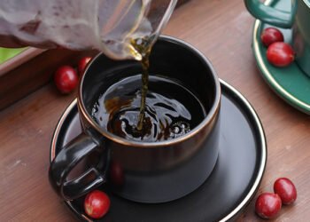 Pu’er coffee, Yunnan – Chinadaily.com.cn