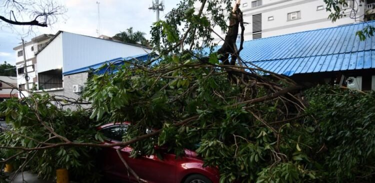 What is a microburst? The phenomenon that affected Gascue with winds exceeding 100 km/h