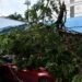 What is a microburst? The phenomenon that affected Gascue with winds exceeding 100 km/h