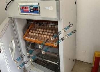 VT15 million budget targets 300,000 chicks by 2030