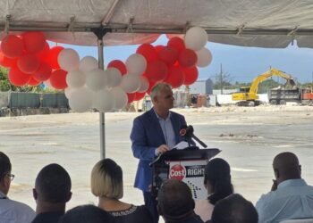 AML Foods breaks ground on $15 million Cost Right store | Business