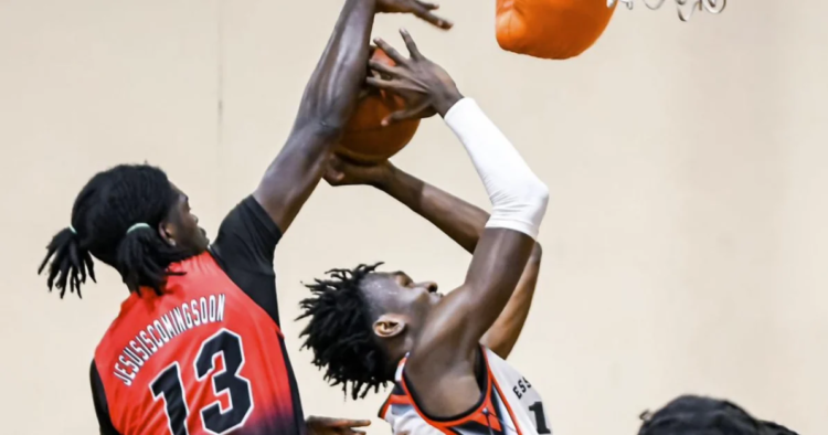 Giants repeat as champions | Sports