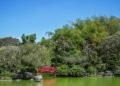 Botanical bridges 2026: a milestone for Dominican science