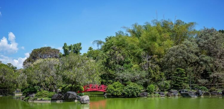 Botanical bridges 2026: a milestone for Dominican science