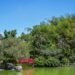 Botanical bridges 2026: a milestone for Dominican science