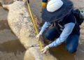 ‘It smells like oil’: alert in Barrancabermeja due to the appearance of two more dead manatees in the San Silvestre swamp, the most important in the port