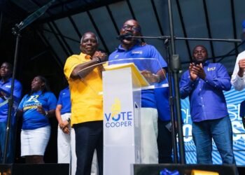 PM: FNM too divided to lead country | News