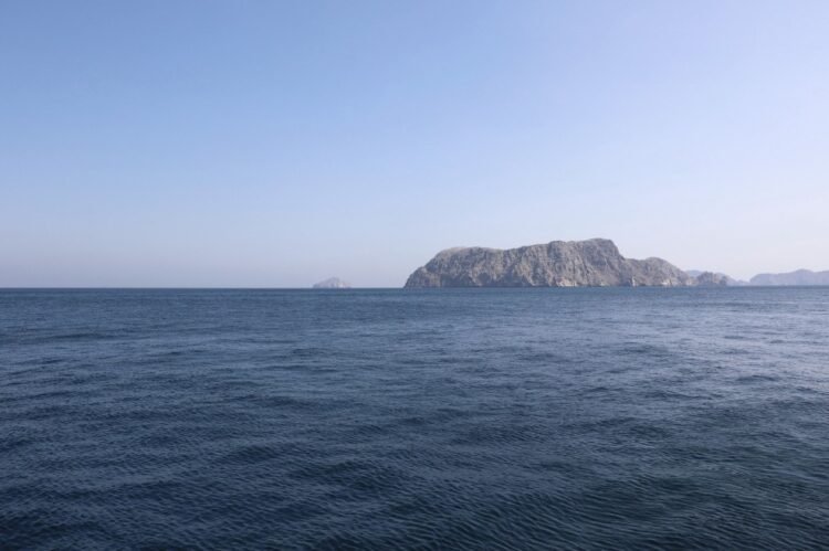Xi: Maintain normal traffic via Hormuz