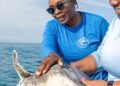 Atlantis Seakeepers release rehabilitated Kemp’s ridley sea turtle into the ocean | Lifestyles