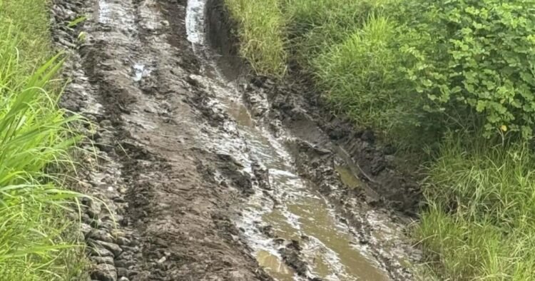 Fed-up locals in Epi fix potholes on their own