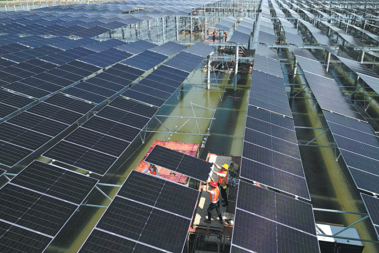 Energy sector shows resilience in Q1