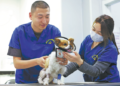 Rise in pet ownership creates economic opportunities