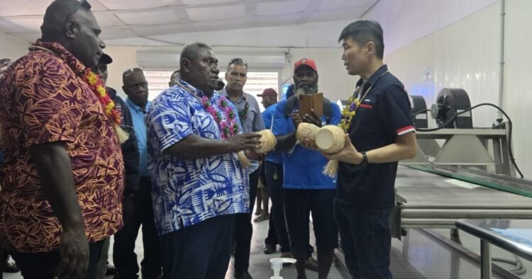 Santo taro farmers first export to Australia | News