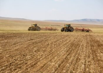 Eastern Region Forecast to Receive Low Precipitation