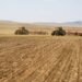 Eastern Region Forecast to Receive Low Precipitation