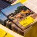 Amnesty International: 2025 A Year of Deterioration in Human Rights