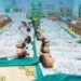 Indoor Air Quality Standard Adopted to Protect Children’s Health
