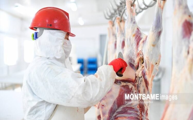 Meat Export Revenue Reaches USD 345.3 Million