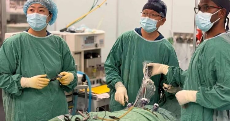 China medical team introduces advanced hernia surgery | News