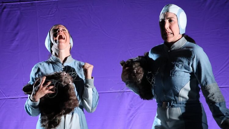Sensibility and movement meet in Encamp with the show ‘Alma’, by the company IaMONTO
