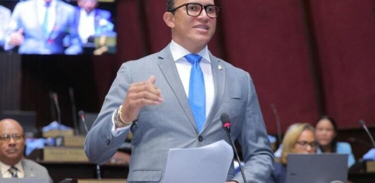 I cannot give an opinion without documentation: Abinader’s response to a deputy on mining in San Juan
