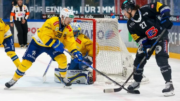 NLA final Davos vs. Friborg: HCD welcomes Gottéron in game 3 of the final series