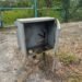 Farley disappointed WASA vandalism suspects released