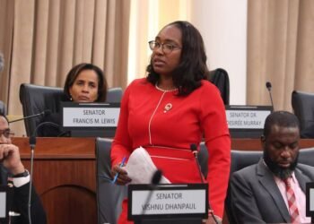 PNM to replace John-Bates on PAAC