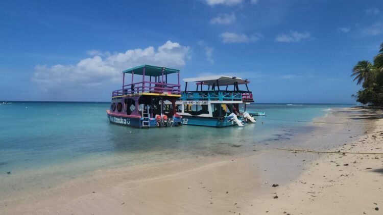 Maritime Services Association calls for stricter jet ski laws