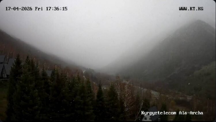 It’s snowing in the Ala-Archa natural park