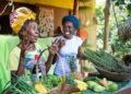 Allan Bernard | Enshrine Rastafari rights in Jamaica’s Constitution | Commentary