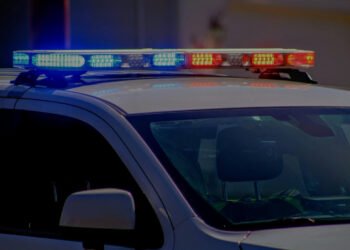 The latest details in the case of the murder of the Lithuanian paramedic