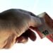 What is the average expected salary in Latvia in 2026?
