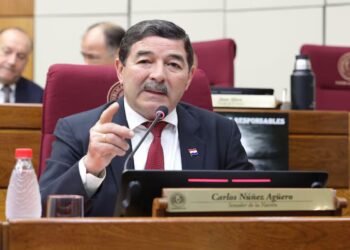 “Useless Minister and they are stealing disgustingly”: senator launches against Riera and Zero Hunger – Politics