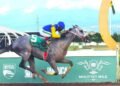 Mojito out of sight against open-allowance field | Sports