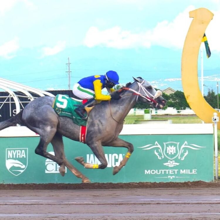 Mojito out of sight against open-allowance field | Sports