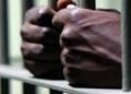 Three arrested after gun, ammunition seized in St Ann, say police | News